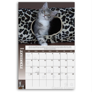 Gentle Giant Calendar Spread