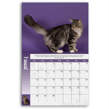 Gentle Giant Calendar Spread